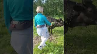 Этномир ️ Часть 2 #этномир #2023