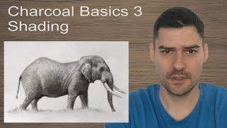 Charcoal Drawing Basics For Beginners - Shading