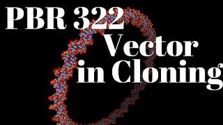 PBR322 plasmid vector | Cloning vector