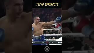 Tszyu upercuts