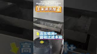 Automatic Sweet Corn Washing and Air Blow Dryer Machine