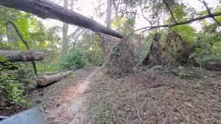 Insta360 X4-Late Evening Return to Timberlane MTB Trails