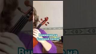 Постановка и вибрация #скрипка #violin #violinist #музыкант #скрипачка #учительмузыки