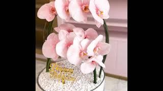 Simple and elegant Flower Arrangement #floraldesigner Vlog