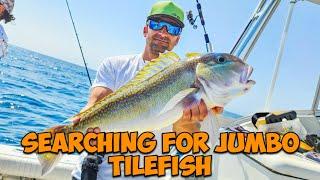 Searching for JUMBO Tilefish: The Most Mysterious Fish! | Canyon Lady 2