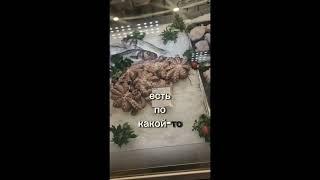 УМЕНИЕ ВЫПОЛНЯТЬ ЧУЖИЕ ПРИКАЗЫ. ELIZABETH VERE