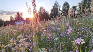 Деревня Румасово Нижегородская область