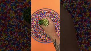Sprinkle Ball Squeeze  #ASMRJoy