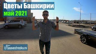 ЖК Цветы Башкирии май 2021 от застройщика Архстройинвестиции. Новостройки Уфы.