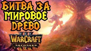 СУМЕРКИ БОГОВ. Финал Reign of Chaos в Warcraft 3 Reforged