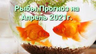 16+ Рыбы.Прогноз на Апрель 2021г.