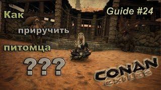 Conan exiles Гайд #24 Как приручить питомцев???