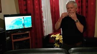 Bailinho  Tradicional - Lino Freitas Harmónica "Gaita de Sopro Madeira Portugal