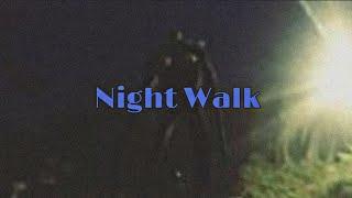 Night Walk ( Ночная Прогулка). Trevor Henderson.