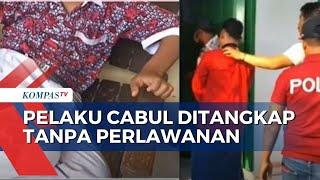 Pelaku Cabul Ditangkap, Psikolog Dampingi Pemulihan Trauma Bagi Anak Anak Korban Pemerkosaan