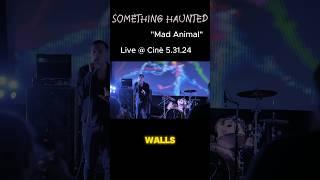 “Mad Animal” at Cinè