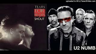 TEARS FOR FEARS - U2  Numb with fear (mashup by DoM)