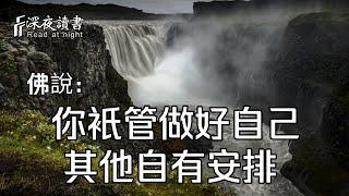 佛說：你衹管做好自己，其他自有因果！所有的一切都不是偶然【深夜讀書】