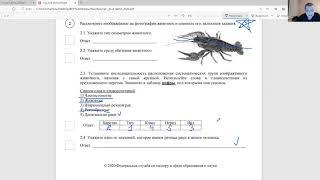 Разбор впр 8 класс для 9 класса