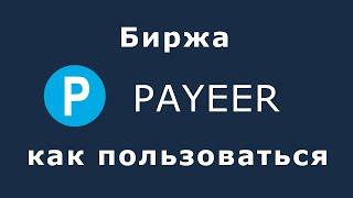 Биржа Payeer - как пользоваться, как выгодно обменивать валюту через платёжную систему Пайер