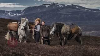 Scottish FIeld was granted exclusive access to meet the Balmoral Castle Highland Ponies