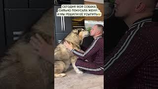 ЖЕСТЬ! СОБАКА ПОКУСАЛА ЖЕНУ