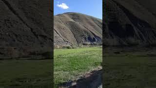 Lonely Deserts: Afghanistan's Untold Wonders