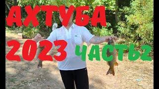 Рыбалка, Харабали Ахтуба 2023, Вторая часть. 4К Fishing, Kharabali Akhtuba 2023, Seсond part 4K/