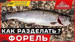 Как почистить и разделать форель.Лучший способ.Потрошим и чистим форель