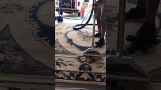 Revive Carpet Cleaning, Rug  Orange Park Fl