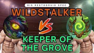 BEST SPEC FOR M+? | Wildstalker vs Keeper | Spec and rotations explained |