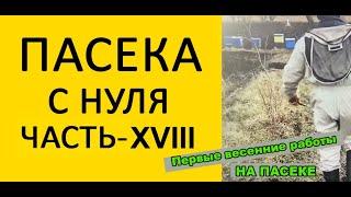 Пасека с нуля 18. Первые весенние работы на пасеке, инструкция для начинающих. / www.uley.in