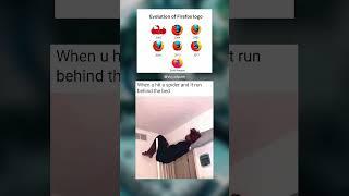 Spider Run Behind Bed