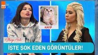 HAYATI TELEVİZYON PROGRAMI GİBİ YAŞAMAK!!!