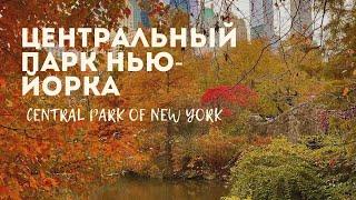 История и красота Центрального парка: визуальная история / Central Park: Where City Meets Nature