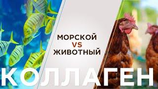 Какой коллаген лучше: морской или животный? | Объясняет врач-косметолог.