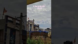 Work️ Mom️ Food️ Tea️ Logoff, Day 25 #minivlog #whatiateinaday #telugu #telangana #andhrapradesh