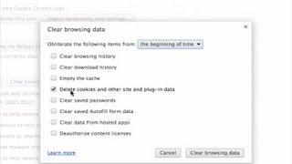 How to Delete Cookies in Google Chrome? : Internet Basics