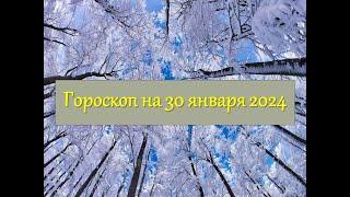 Гороскоп на 30 января 2024 года