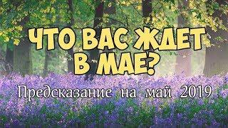 ЧТО ВАС ЖДЕТ В МАЕ? ТАРО ПРОГНОЗ ГОРОСКОП НА МАЙ 2019. Онлайн гадание Таро