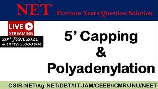 5' Capping & Polyadenylation