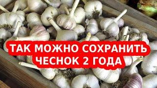 ХРАНЕНИЕ ЧЕСНОКА НА ЗИМУ! Чеснок посаженный в зиму (озимый)