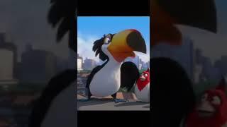 it's  birds team# short video