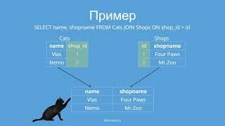 SQL на котиках: Джоины (Joins)