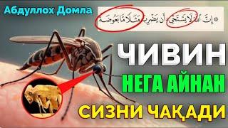 Чивин нега айнан сизни чақади! ~Абдуллох Домла ~Abdulloh Domla #abdullohdomla #namoz #zikr #salovat