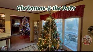 Dotsadventures Home Video unboxing/Our Christmas trees