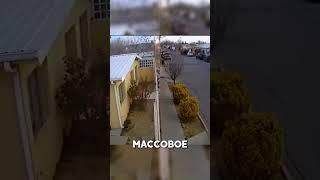 Жуткий Момент: Сотни Дроздов Рухнули с Неба и Погибли