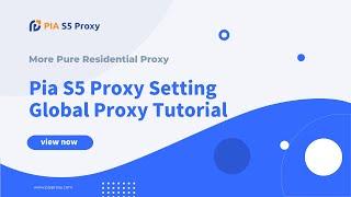 Tutorial Guide: How to set the global proxy function of Pia S5 Proxy?