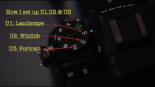 Nikon U1, U2, U3, Best set up. Nikon Z6, Z6II,  Z7, Z7II, Z5, Z50. Best custom User settings options