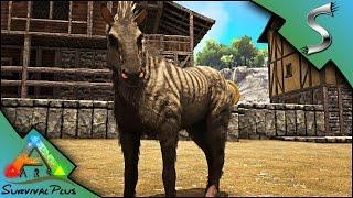 EQUUS BREEDING + IMPRINTING! TAMING FAILS AND STEALING WILD EGGS - Ark: Survival Plus [Gameplay E19]